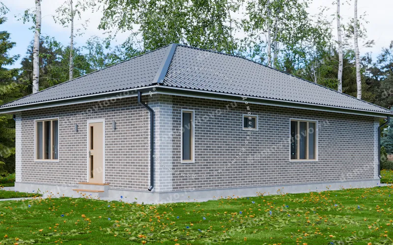 Кирпичный дом 9×13