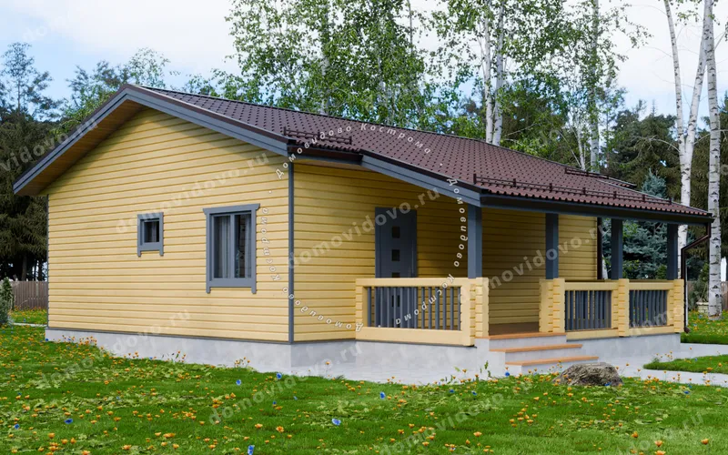 Одноэтажный каркасный дом 8х9